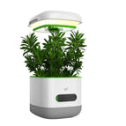 Packaging B / UK