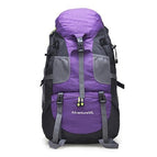 50L Purple