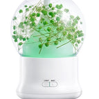 Green Gypsophila / EU
