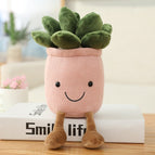 pink Succulent