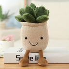 khaki Succulent