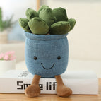 blue Succulent