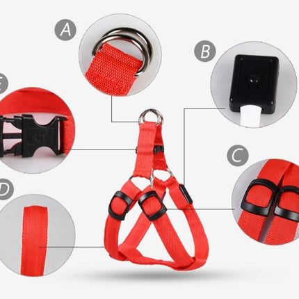 Rechargeable Luminous LED Dog Leash