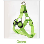 Green / XS 30-35cm