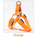 Orange / XS 30-35cm