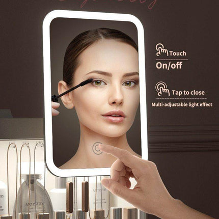 Cosmetic Make-up Jewelry Organizer with Led Lighted Mirror