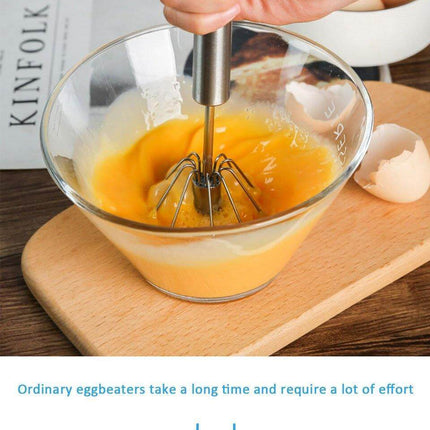 Stainless Steel Easy Stirrer Whisk