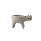 Grey Cat