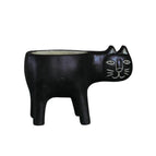 Black Cat