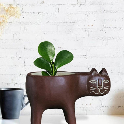 Lovely Ceramic Cat Plant Vase