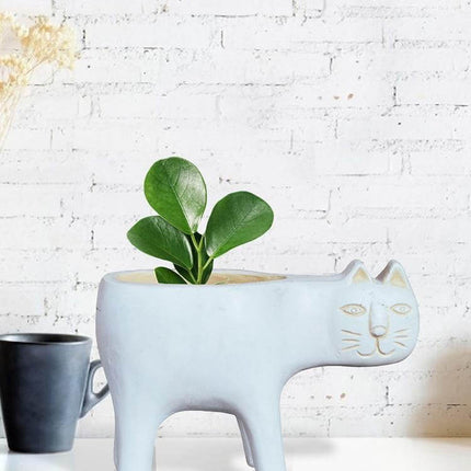 Lovely Ceramic Cat Plant Vase