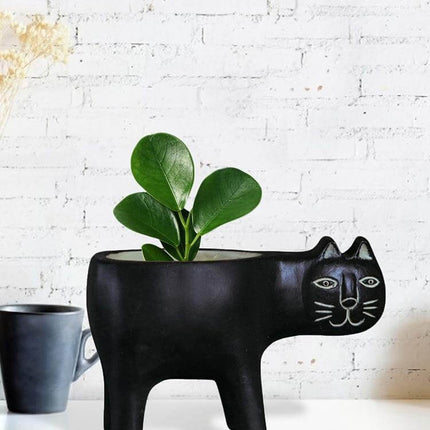 Lovely Ceramic Cat Plant Vase