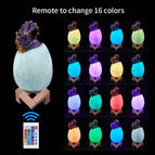 Remote Control B