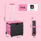 Worldwide / Pink