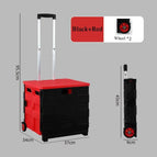 Worldwide / Black Red