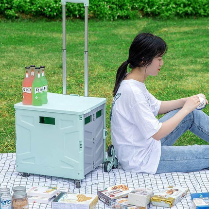 Foldable Portable Grocery Picnic Trolley Storage Cart Box
