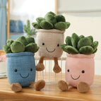 3pcs Succulent