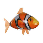 Clownfish