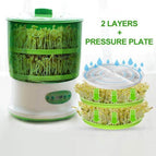 2 Layer with Platen / US