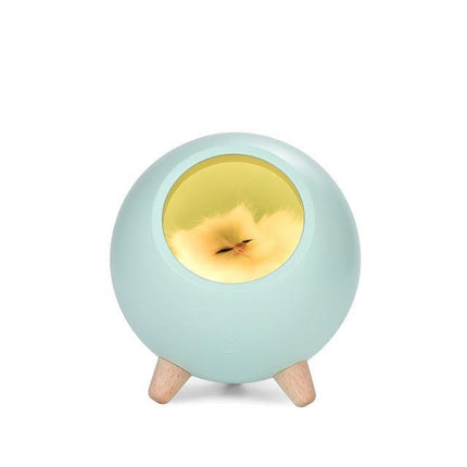 Cute Pet House USB LED Night Lamp