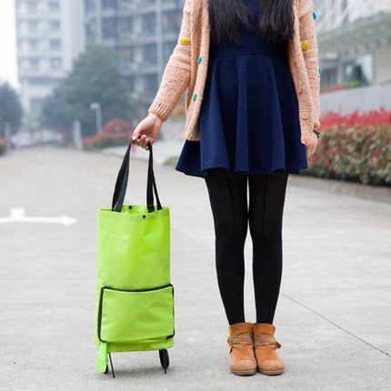 Foldable Reusable Earth Friendly Shopping Bag