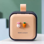 rabbit pill case