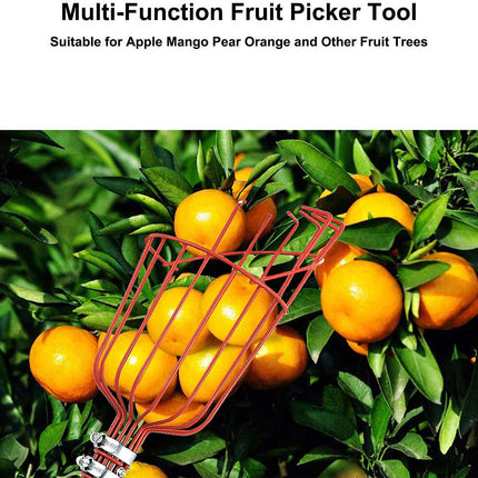 High Branch Fruit Picker
