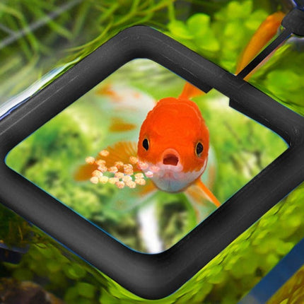 Creative Aquarium Floating Fish Feeder Tray