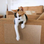 for fabric sofa / 4pcs