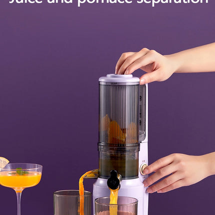 Portable Cold Pressed Electric Blender