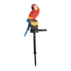 Red parrot