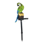 Green parrot