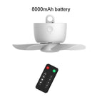 8000mAh