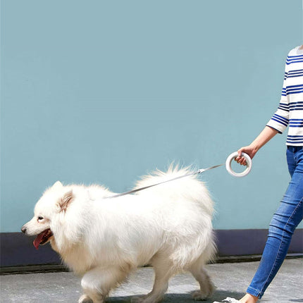 UFO Retractable Rechargeable LED Pet Leash