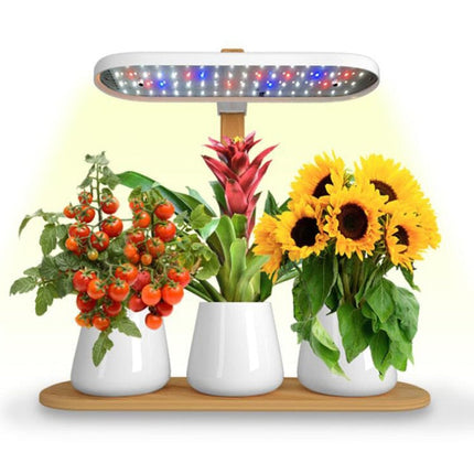 Modern Home Plant Growth Lamp Box