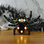 Spider B