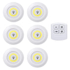 1 Controller 6 lamp / Warm White