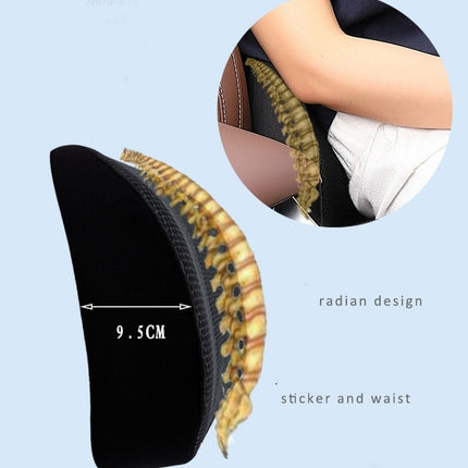 Universal Car Waist and Seat Cushion