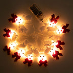1.6m 10LED Elk