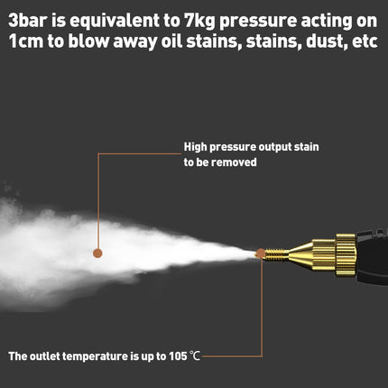 Electric High Pressure Portable Steam Cleaner