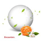 Encounter 6PCS