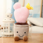 pink cactus