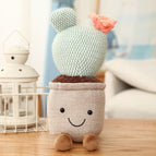 green cactus