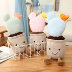 3pcs cactus