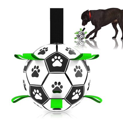 Interactive Pet Training Toy Ball