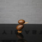 Little duck