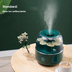 Standard / UK