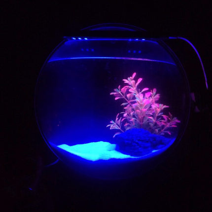Wall-Mounted Modern Acrylic Fish Tank