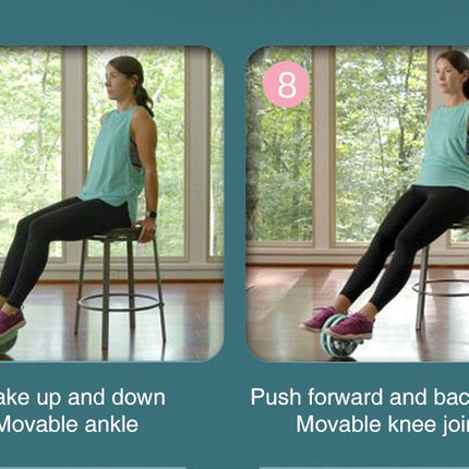 Self-Retracting Home Fitness Abdominal Wheel Roller