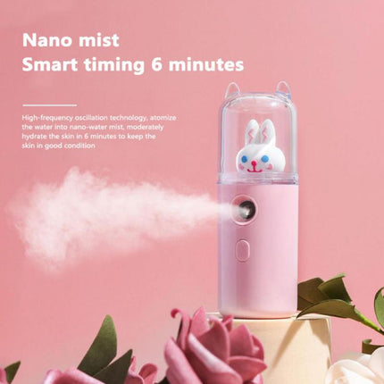 USB Cartoon Animal Rechargeable Mini Face Steamer